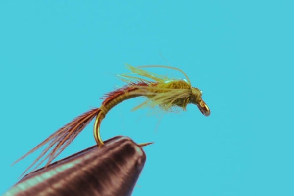 Bear Baetis Nymph