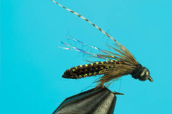 Braided Caddis Pupa-Beadhead-Discount Trout