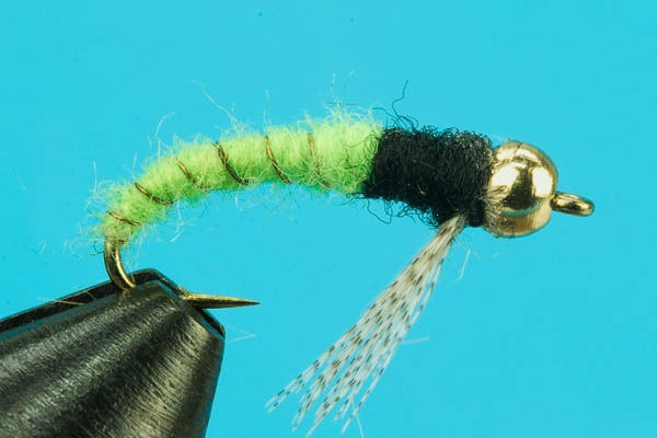 Caddis Larva-Beadhead