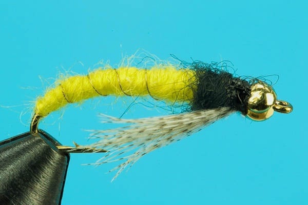 Caddis Larva-Beadhead