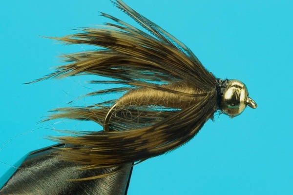 Caddis Pupa-Beadhead