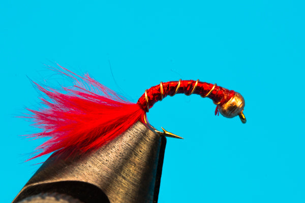 Holo Worm Beadhead-Trout — Big Y Fly Co