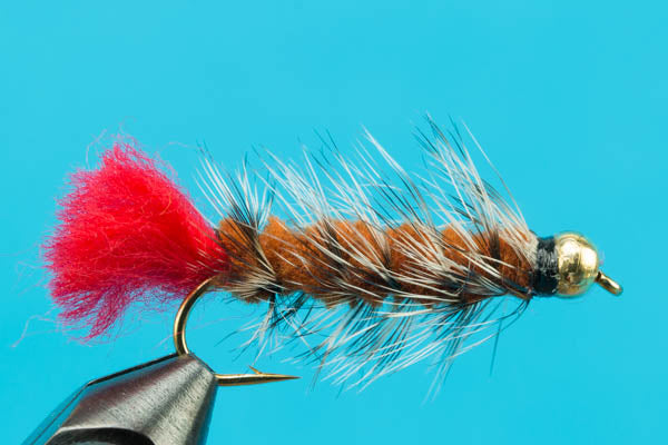 Beadhead Woolly Worm-Discount Fishing — Big Y