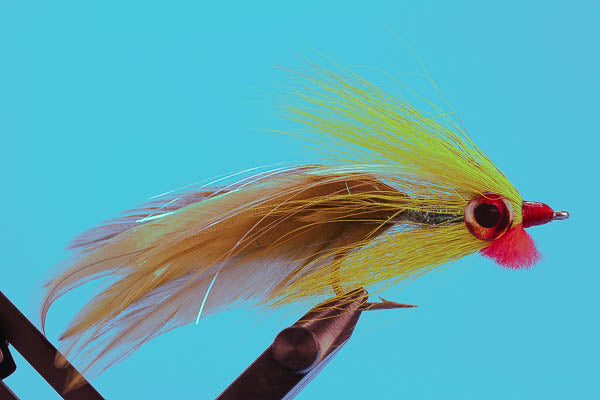 Big Eye Deceiver