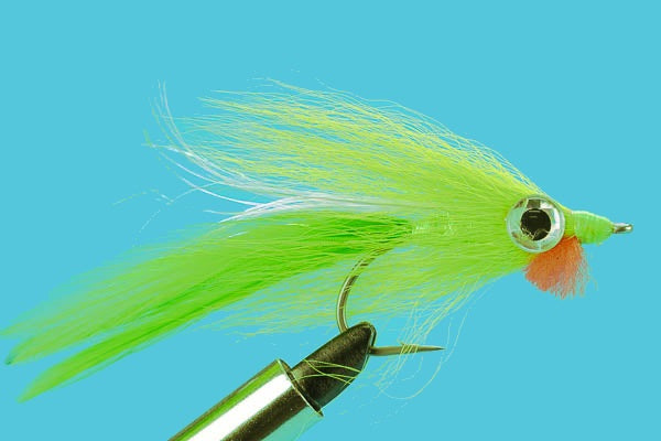 Big Eye Deceiver