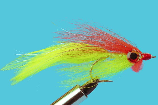 Big Eye Deceiver