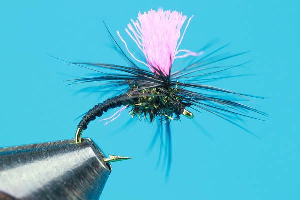 black magic fishing lure Black Magic Dry Fly