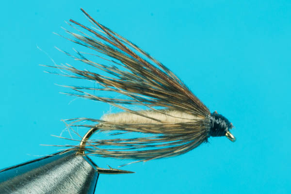 Caddis Pupa