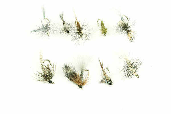 Callibaetis Assortment--36 Flies #12