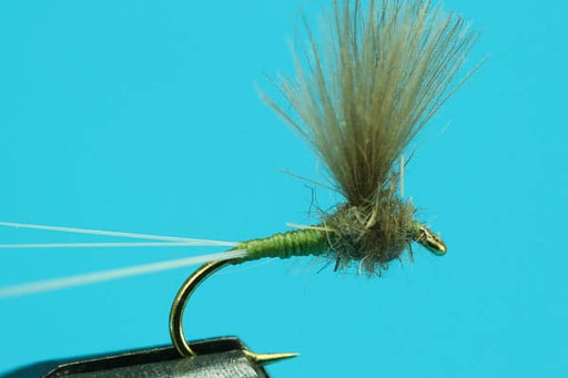 CDC Caddis Olive - Fishing Flies in Kenya CDC Caddis Olive - Fishing Flies in Kenya