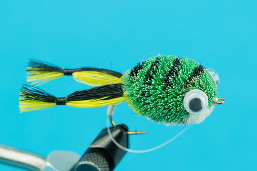 bumblebee popping bug fishing lure Bumble Bee Popper-Bass Flies-BigYFlyCo.com — Big Y Fly Co