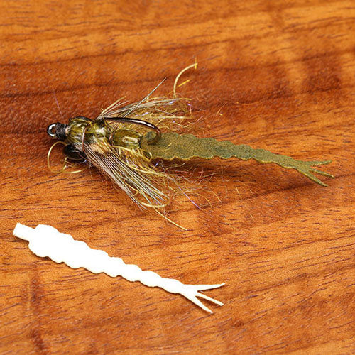 Cohen's Damsel Tail