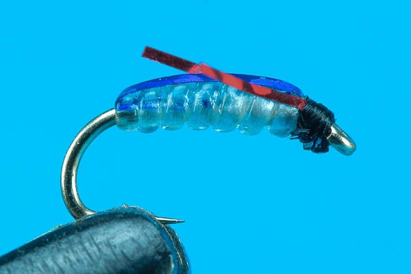 Crystal Chironomid