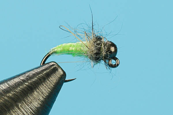 caddis fly fishing lure Czech Caddis