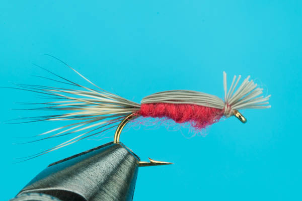 Doodle Bug-Trout Flies — Big Y Fly Co