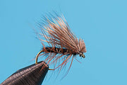 Elk Hair Caddis Black dry fly for trout fishing from Big Y Fly Co
