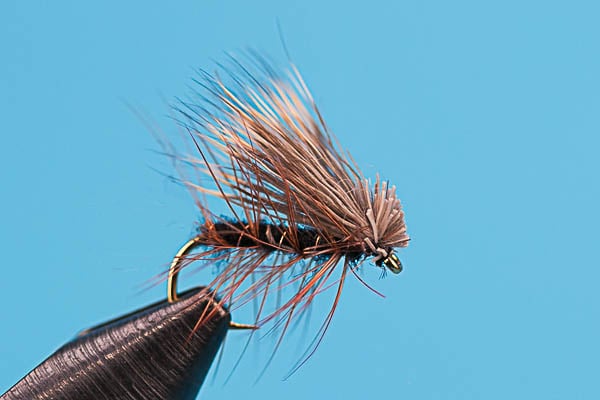 Elk Hair Caddis Black dry fly for trout fishing from Big Y Fly Co
