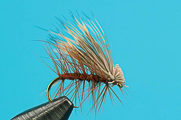 Elk Hair Caddis Cinnamon dry fly for trout fishing from Big Y Fly Co
