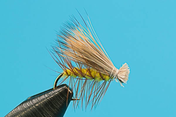 Elk Hair Caddis Yellow dry fly for trout fishing from Big Y Fly Co
