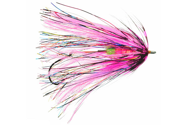 Fish Taco - Umpqua