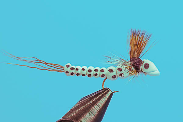 Drake Mayfly Foam Mayfly Drake - Fly Dry Flies - Big Y Fly Co