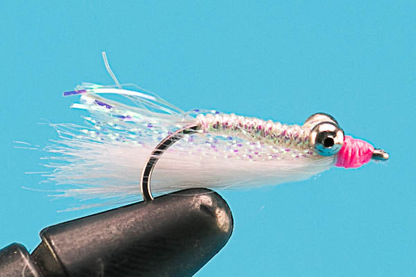 Gotcha Fly