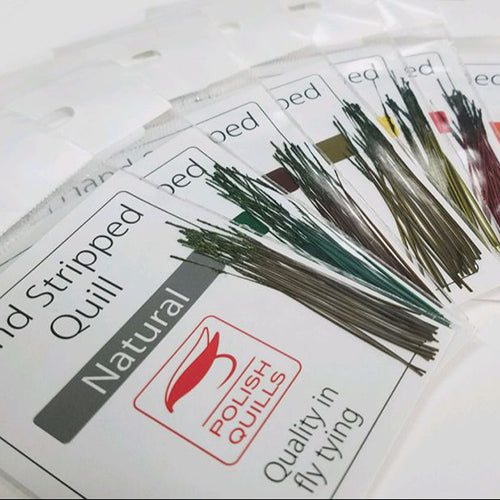 Hand Stripped Quills--Polish Quills