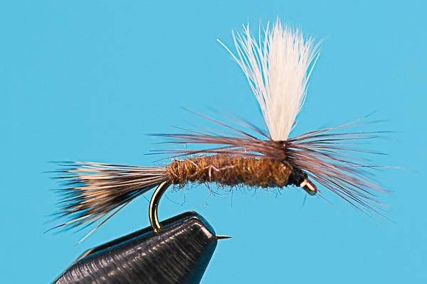 Hecuba - Mayfly Dry Fly
