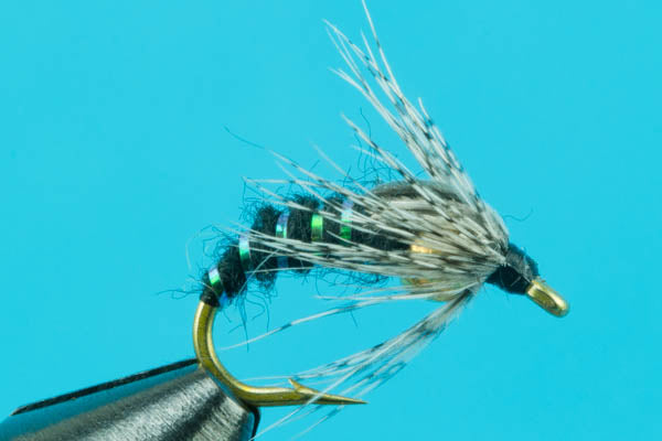 Holy Grail-Tungsten Nymphs- — Big Y Fly Co