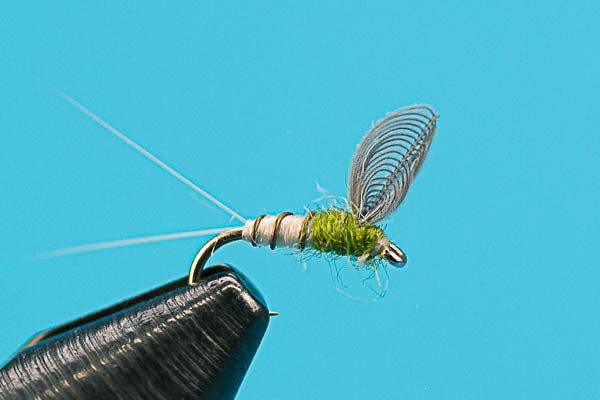Knock Down Dun BWO  - Mayfly Dry Fly