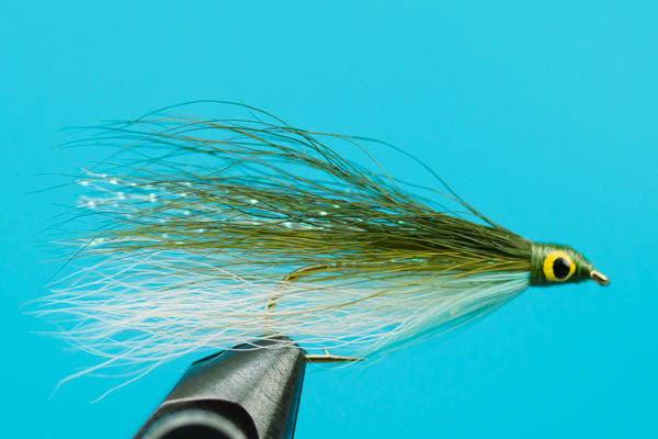 Lake Erie Shiner-Discount Fishing — Big Y Fly Co