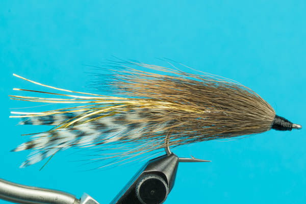 Lefty's Deceiver Cockroach