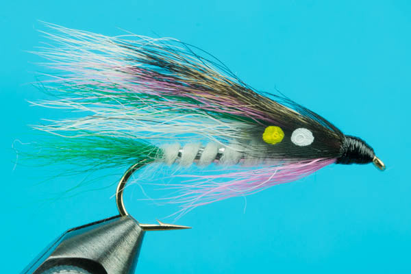 Little Rainbow Trout