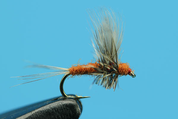 Mahogany Dun Thorax  - Mayfly Dry Fly