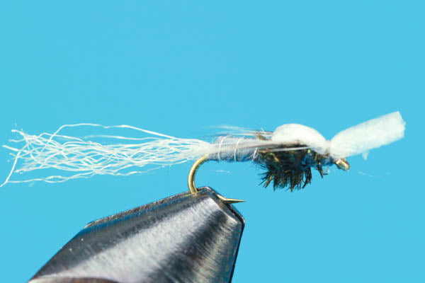 Mayhem Midge