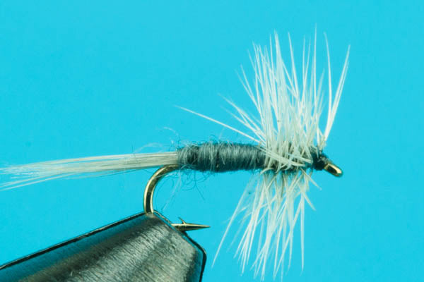 Midges