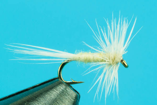 Midges