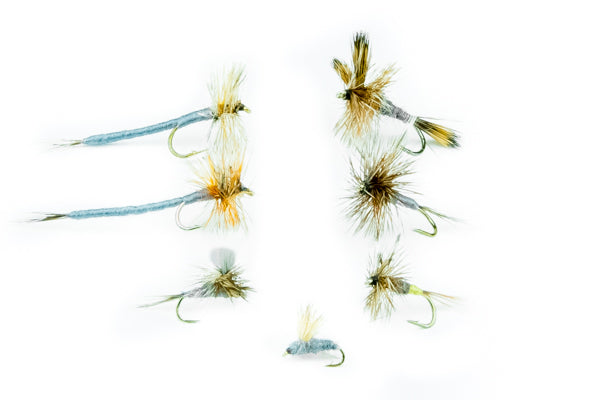 Big Y Fly Co. - Big Y Fly Co. Adams Fly Assortment - 24 Flies (Sizes 12-16, Comparadun Size 18)