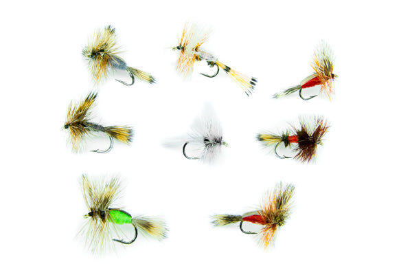 Humpy/Wulff Assortment--24 Flies #31