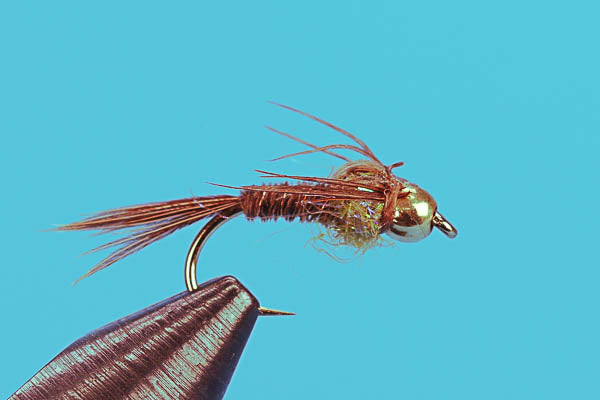 Pheasant Tail UV-Beadhead-Discount Trout Flies- — Big Y Fly Co