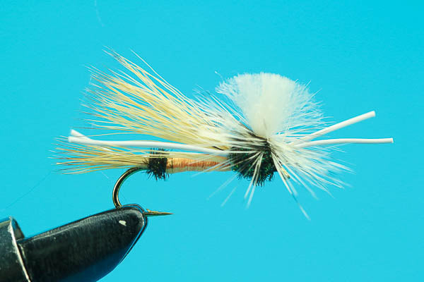 Letort Cricket-Discount Fishing Flies- — Big Y Fly Co