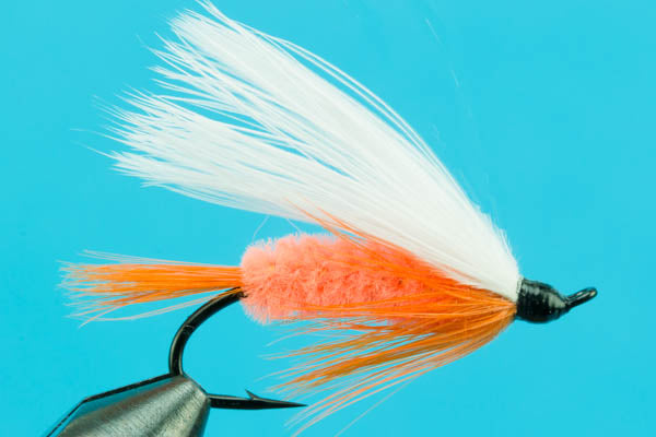 Polar Shrimp-Salmon/Steelhead Flies- — Big Y Fly Co