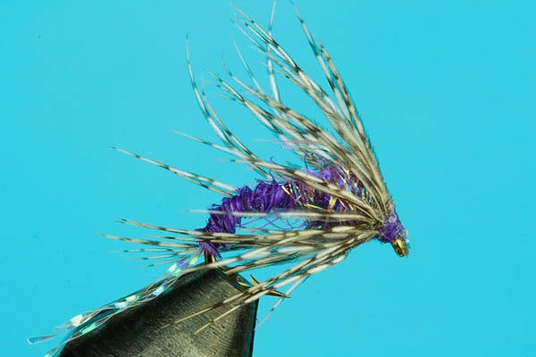 Purple Haze Wet Fly