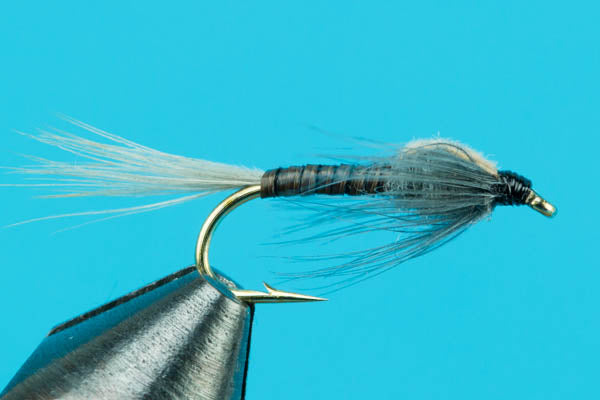 Quill Gordon Nymph