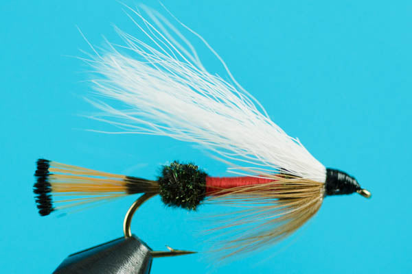Royal Coachman Bucktail-Attractor — Big Y Fly Co