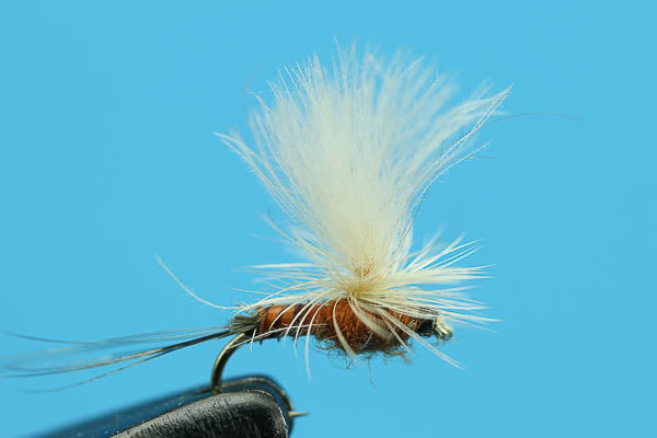 Rusty Para Spinner-Quality Fishing Flies-BigYFlyCo.com — Big Y Fly Co