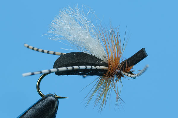 San Juan River Ant-Discount Fishing — Big Y Fly Co