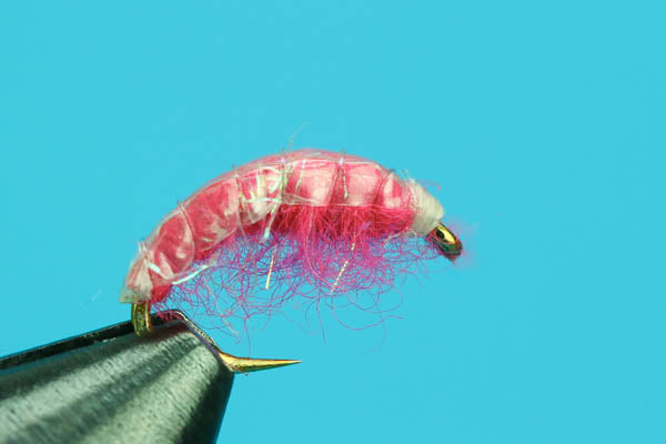 Shrimp Scud-Premium Fishing Flies-BigYFlyCo.com — Big Y Fly Co