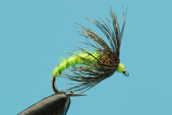 caddis fly fishing lure Soft Hackle Caddis