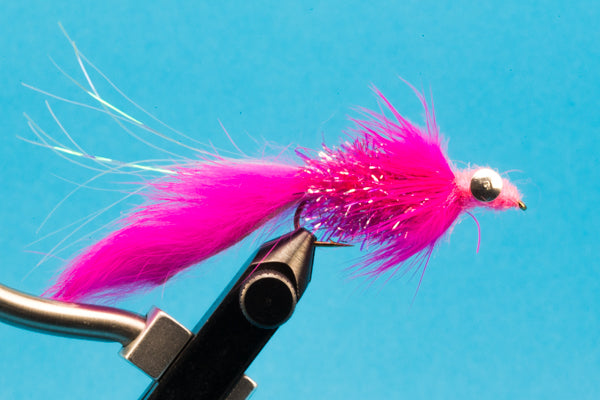 Starlight Leech